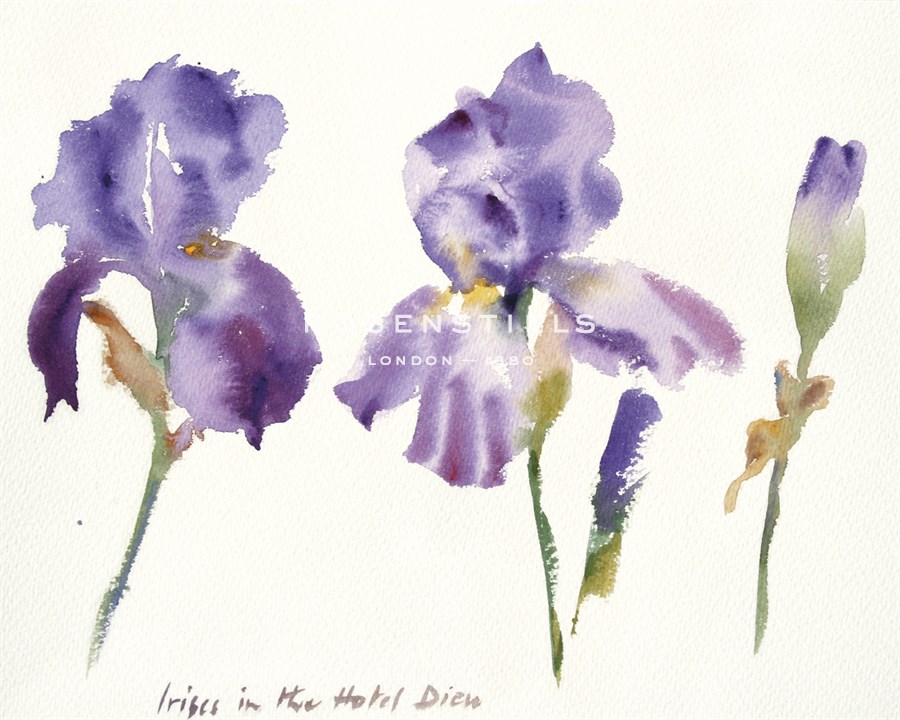 Irises in the Hotel Dieu - Hazel Soan