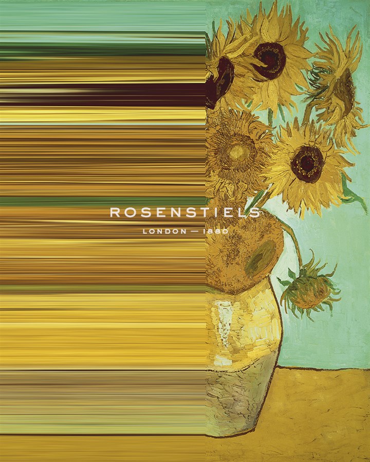 Sunflower Spectrum - Eccentric Accents