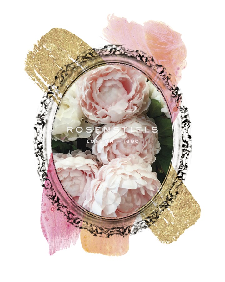 Ornate Chrysanthemums - Collezione Botanica