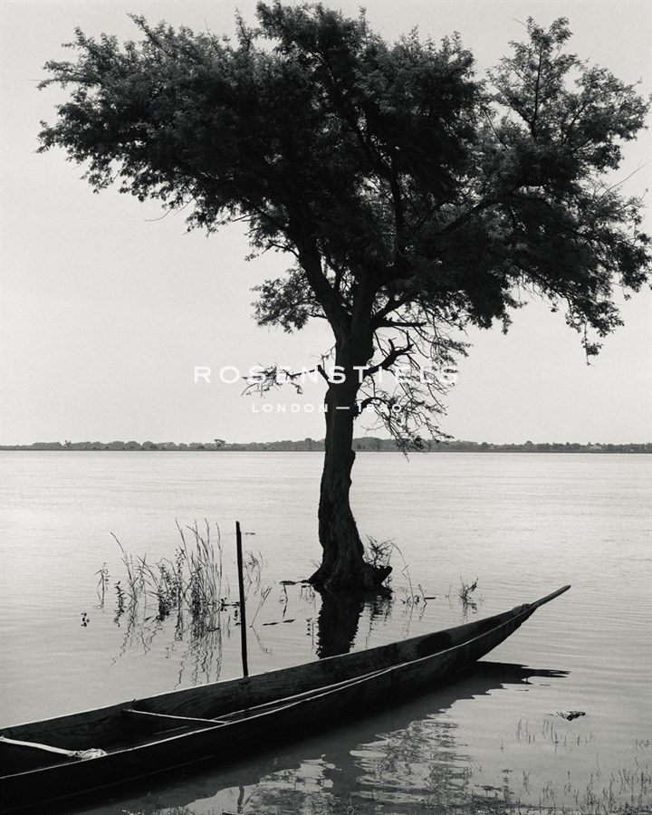 Lake Giving Life - Andrew Geiger