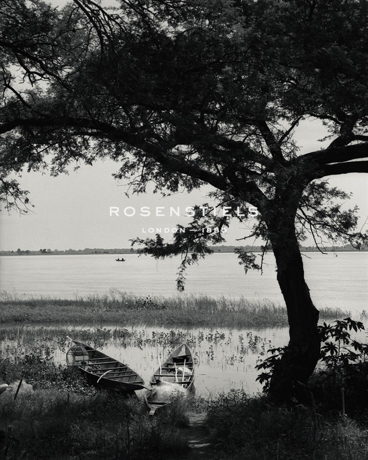 Lakeside Peace - Andrew Geiger