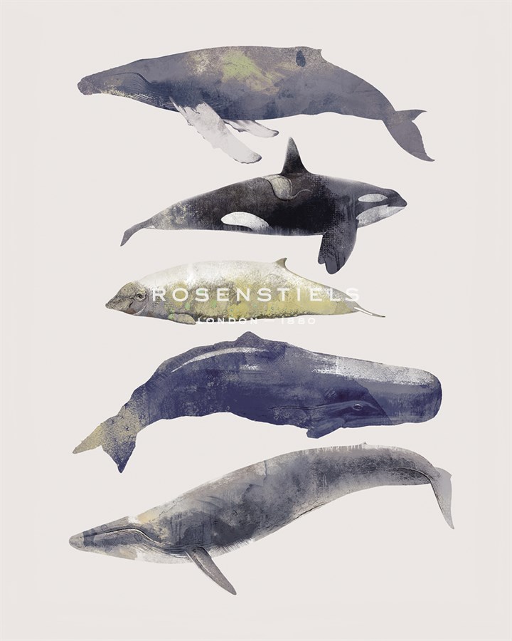 Whale Music - Ken Hurd