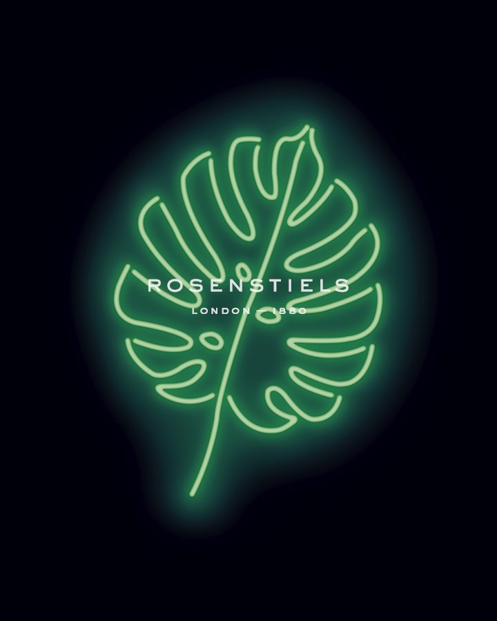 Neon Monstera - Otto Gibb