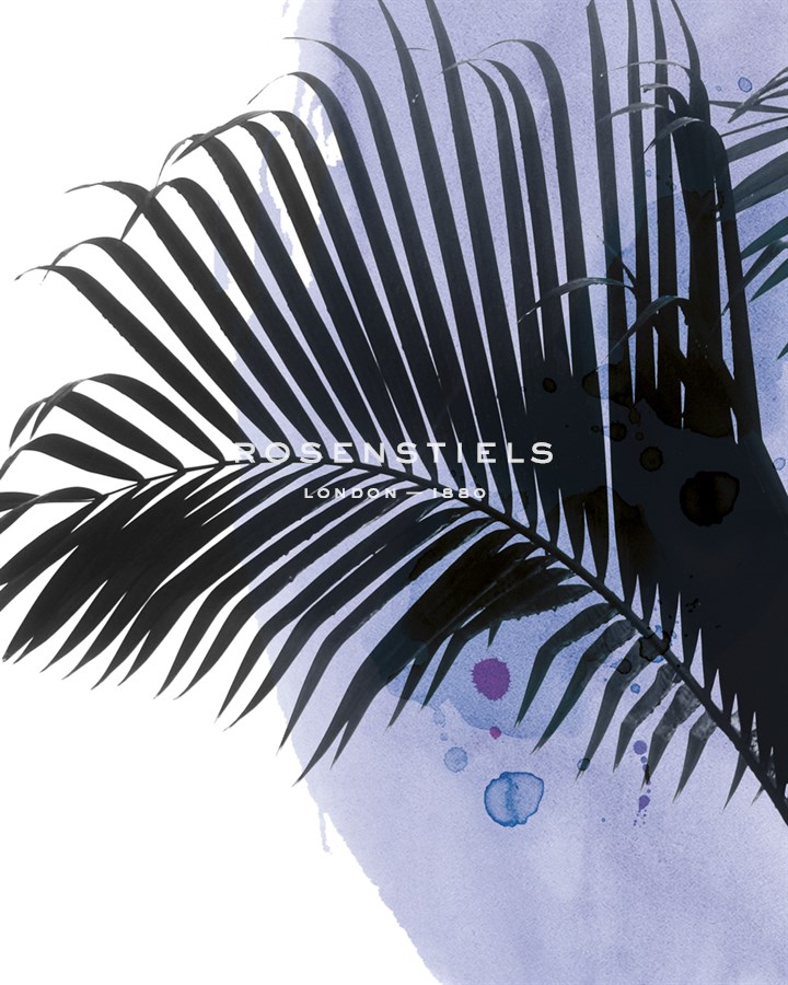 Tropic Mellow - Bill Philip