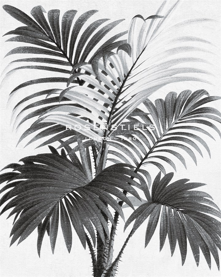 Palm Monoprint - The Vintage Collection