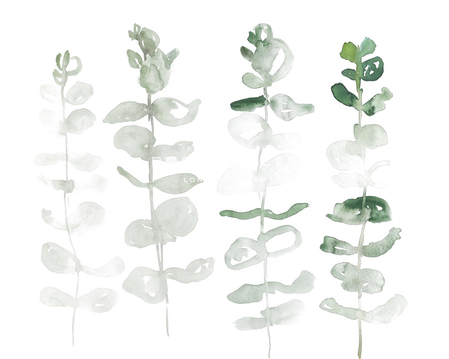 Sturdier Stems - Sarah Von Dreele