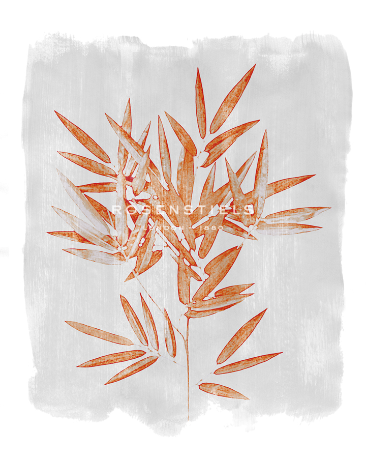 Bamboo Harmony - Belle Poesia