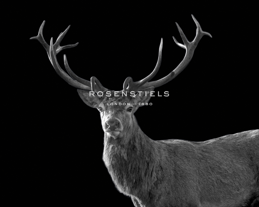 Forest Noble - Matt Roseveare
