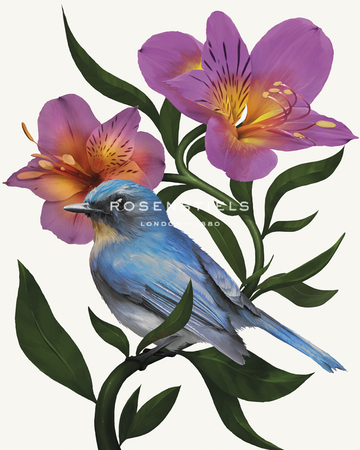 Pure Birdsong - Solo - Sam Kemp