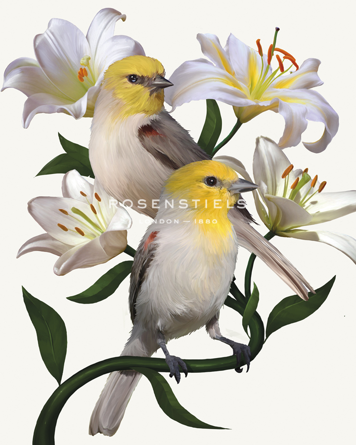 Pure Birdsong - Duet - Sam Kemp