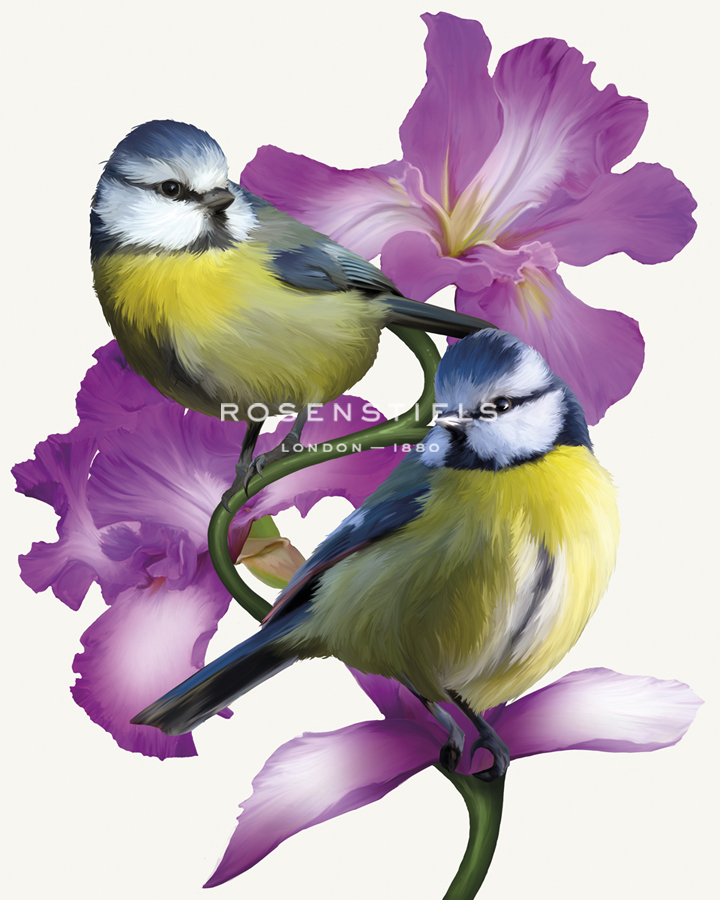 Pure Birdsong - Harmony - Sam Kemp