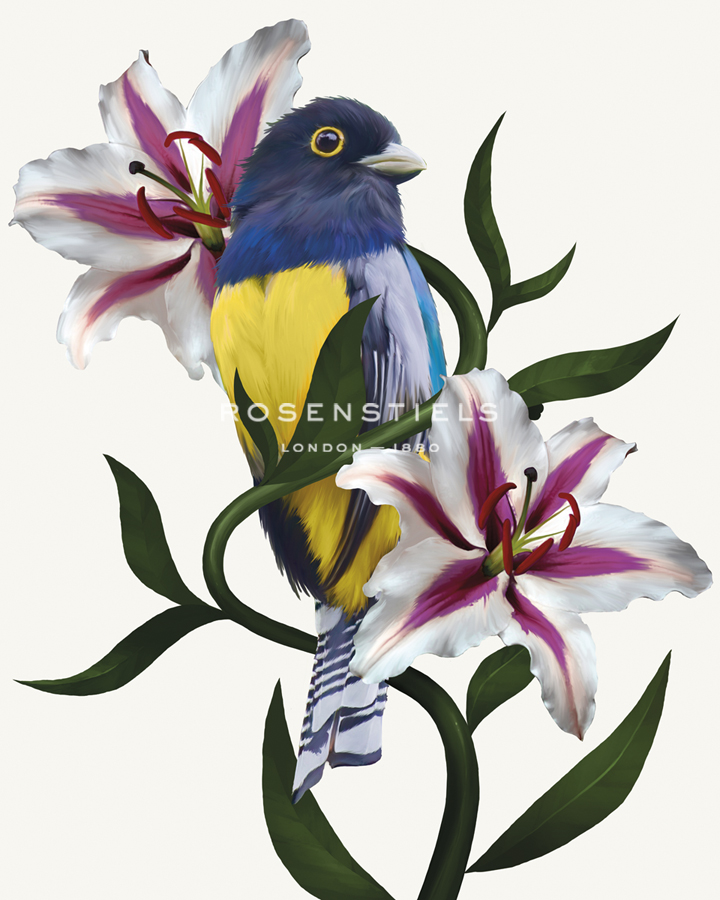 Pure Birdsong - Chorus - Sam Kemp