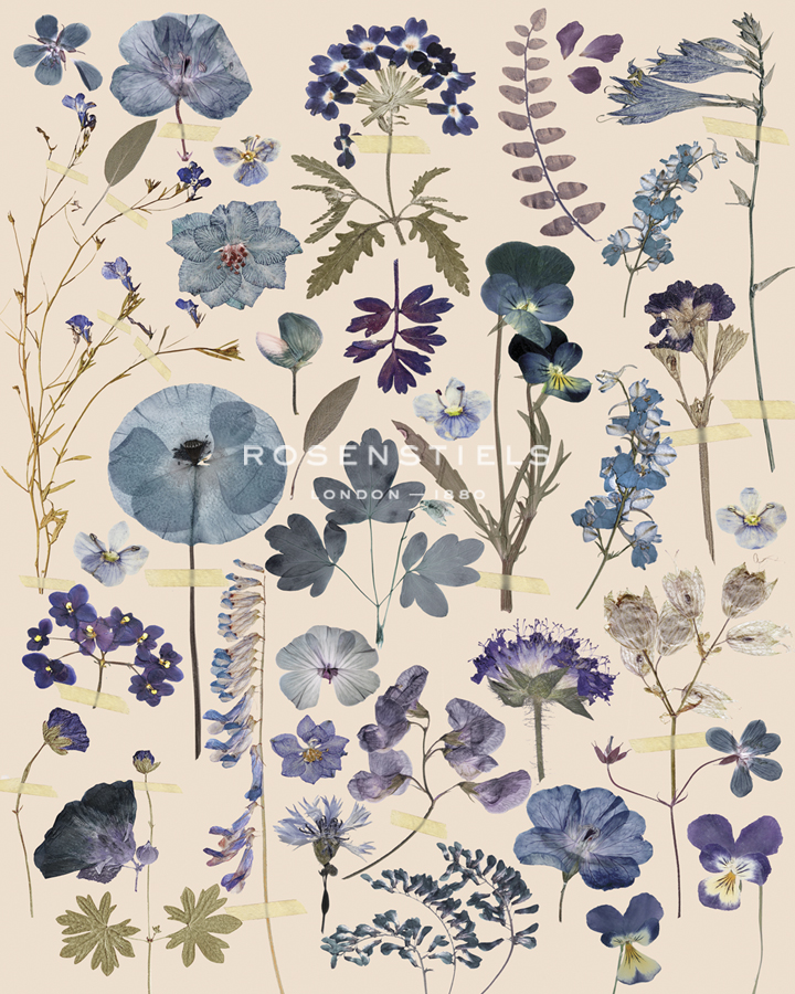 Midnight Garden - Anahata Katkin
