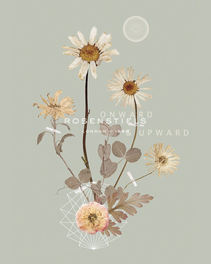 Onward and Upward - Anahata Katkin