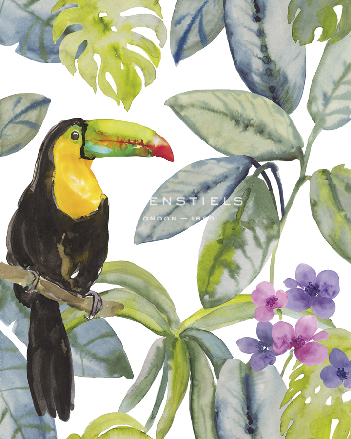 Toucan Seek - Sandra Jacobs