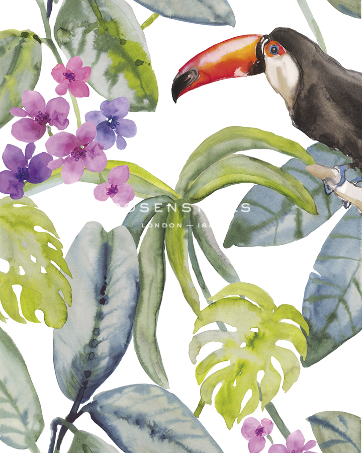 Toucan Hide - Sandra Jacobs