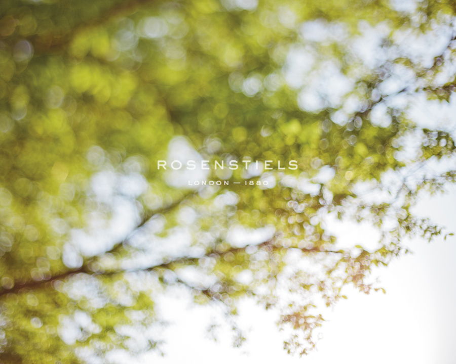 Spring Leaves - Sarah Hart Morgan