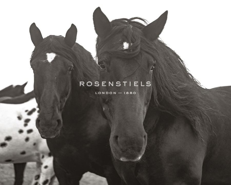 Equine Reflections - Nathan Kane