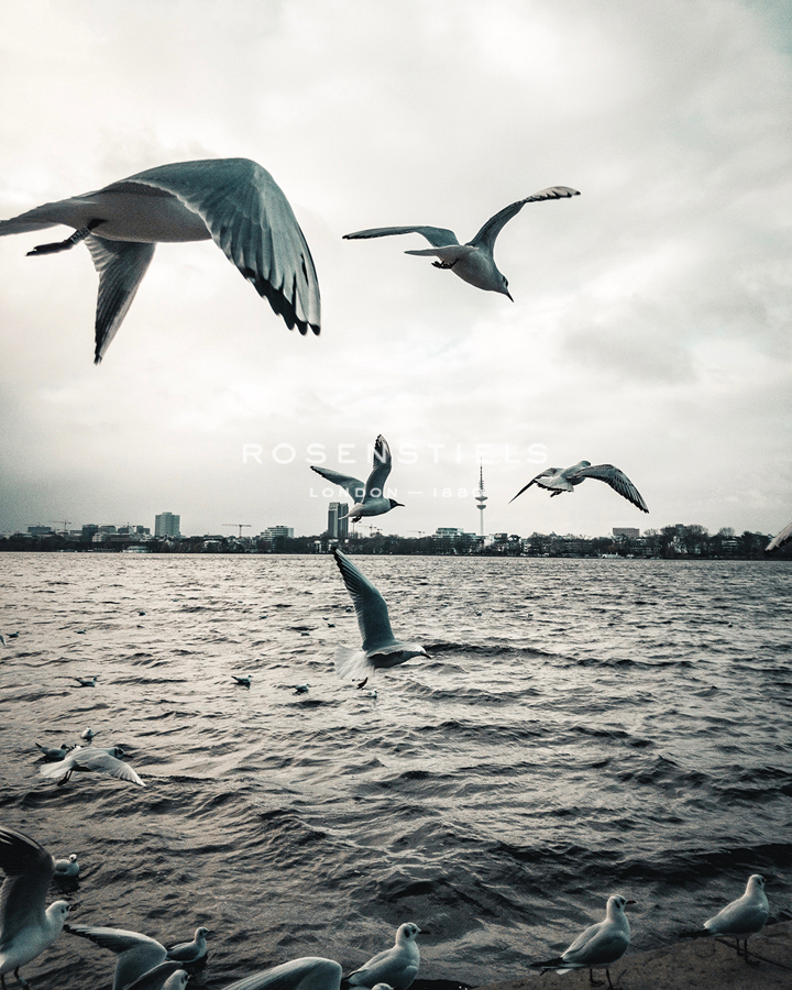 Squabble Fishing - Florian Schleinig