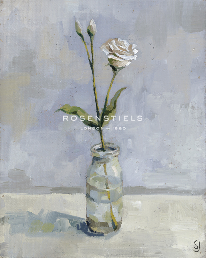 Rose Stem Study - Steven Johnson