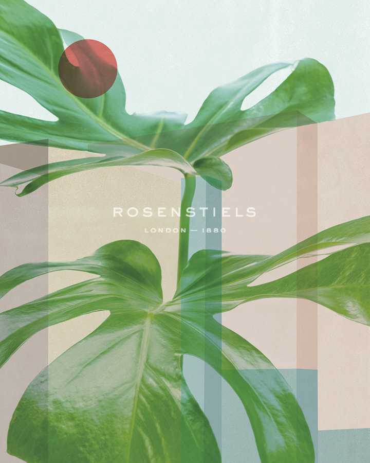Monstera Architecture - Assaf Frank