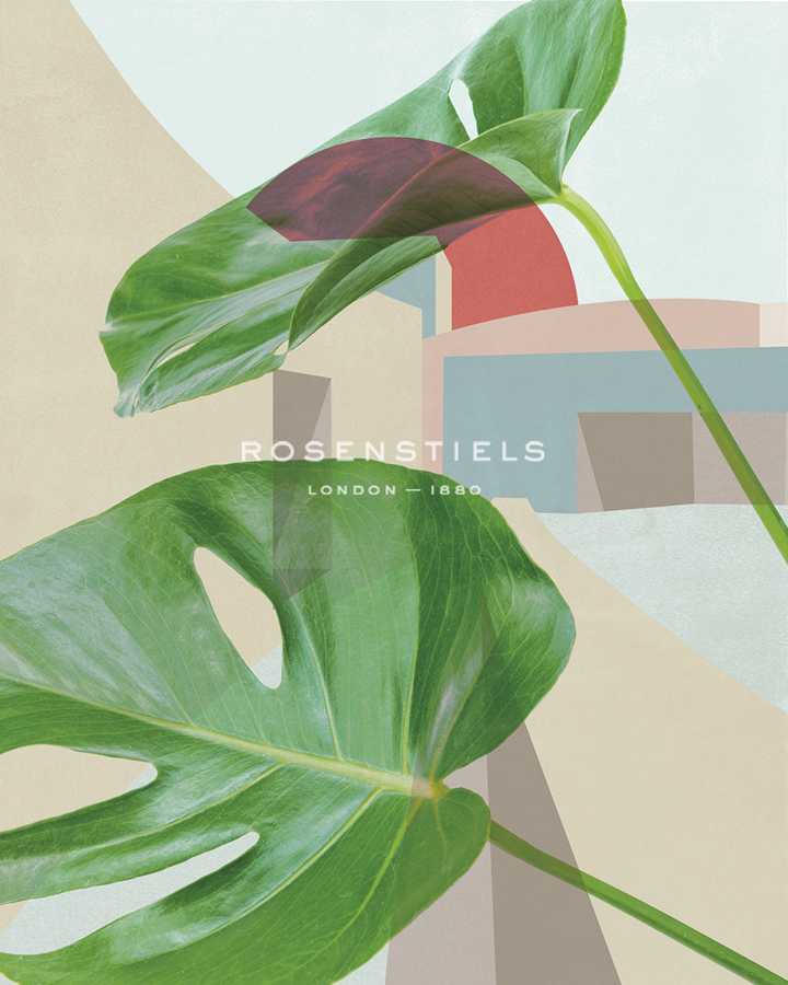 Monstera Metropolis - Assaf Frank