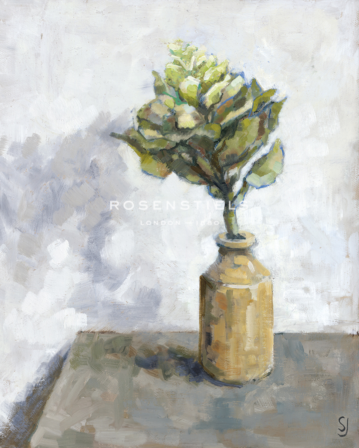 Cabbage Flower - Steven Johnson
