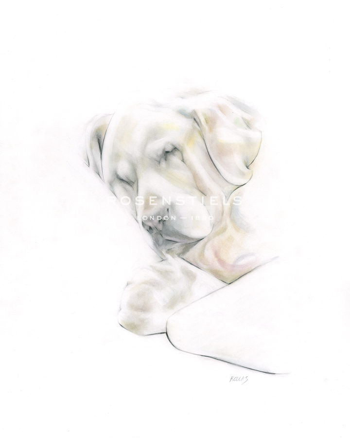 Leni The Labrador - Kellas Campbell