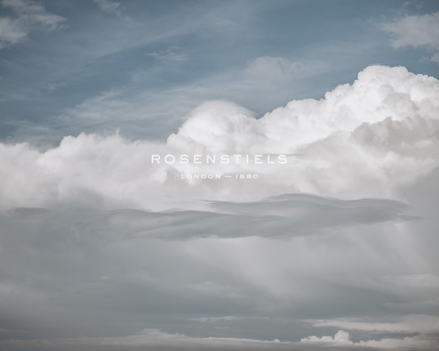 Open Skies - Florian Schleinig