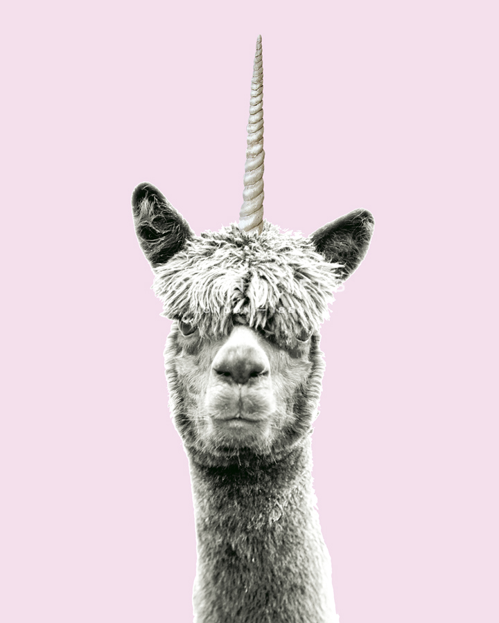 Lllama-Corn - Bill Philip