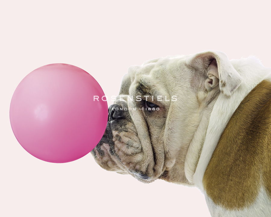 Bubble Hound - Assaf Frank