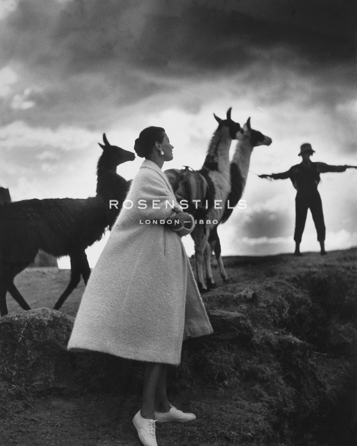 Model with llamas, Peru, 1952 - Antoinette Frissell