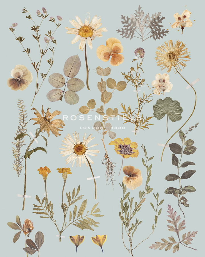 Pressed Petals - Anahata Katkin