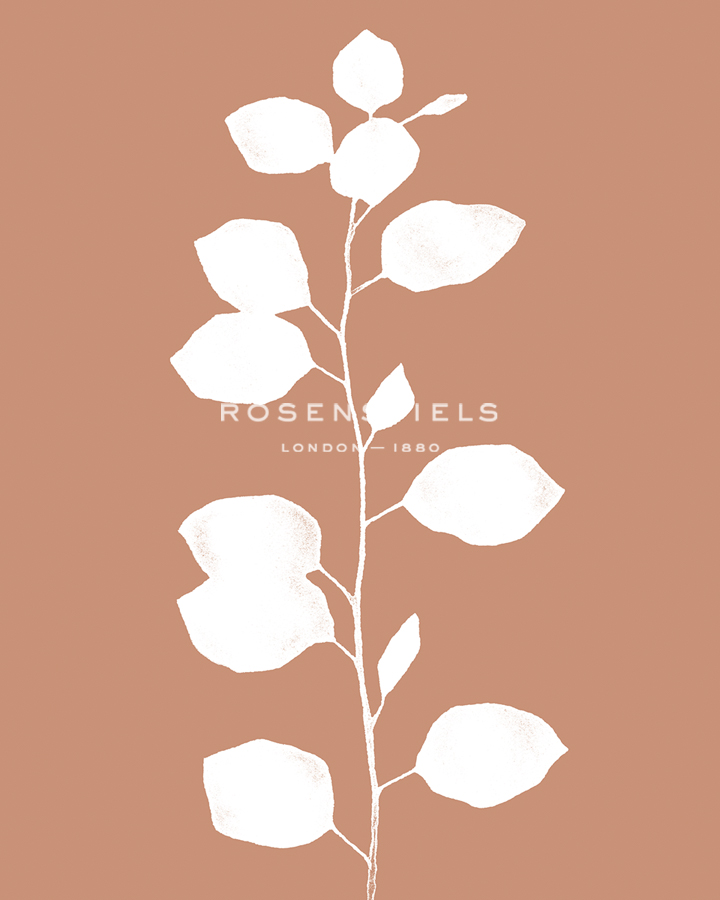 Apricot Silhouette - Sprout  - Kristine Hegre