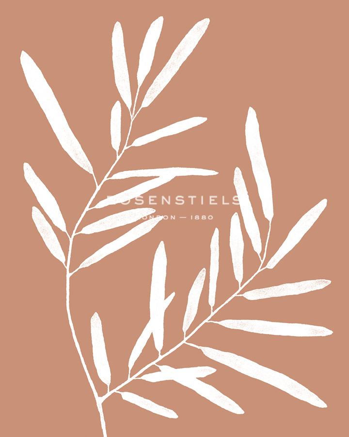 Apricot Silhouette - Bud - Kristine Hegre