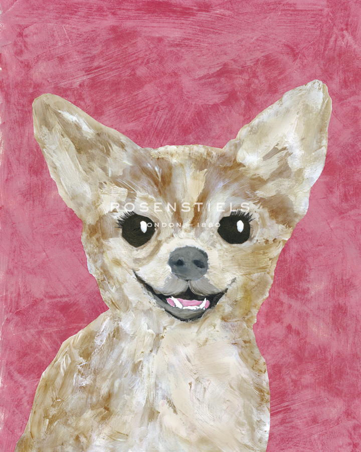 Painted Dogs - Chihuahua - Belle Poesia