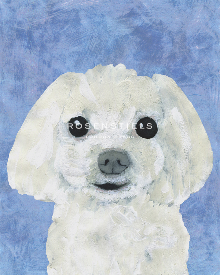 Painted Dogs - Maltese - Belle Poesia