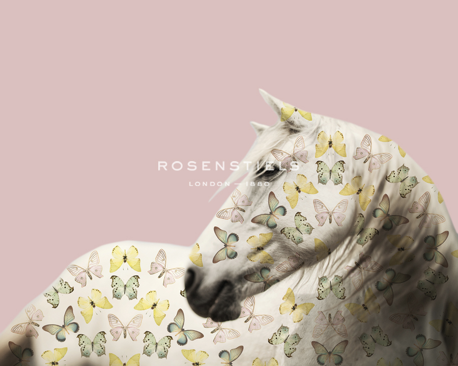 Flutterby Horse - Gaze - Irene Suchocki