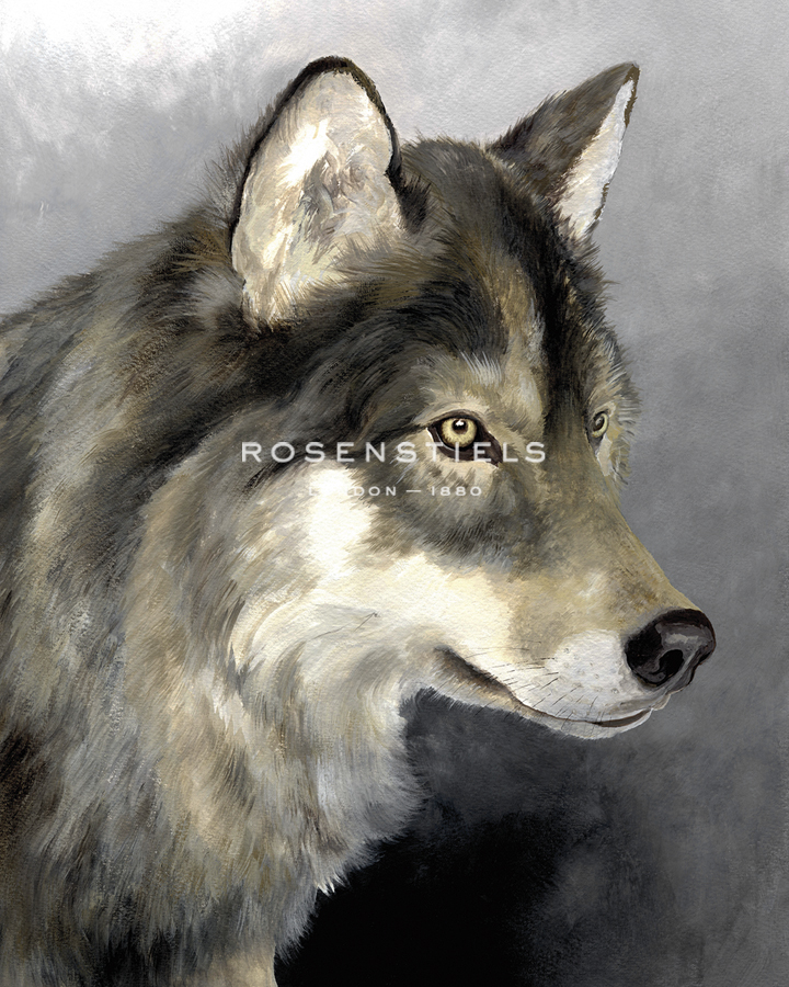 The Stare - Janie Howe
