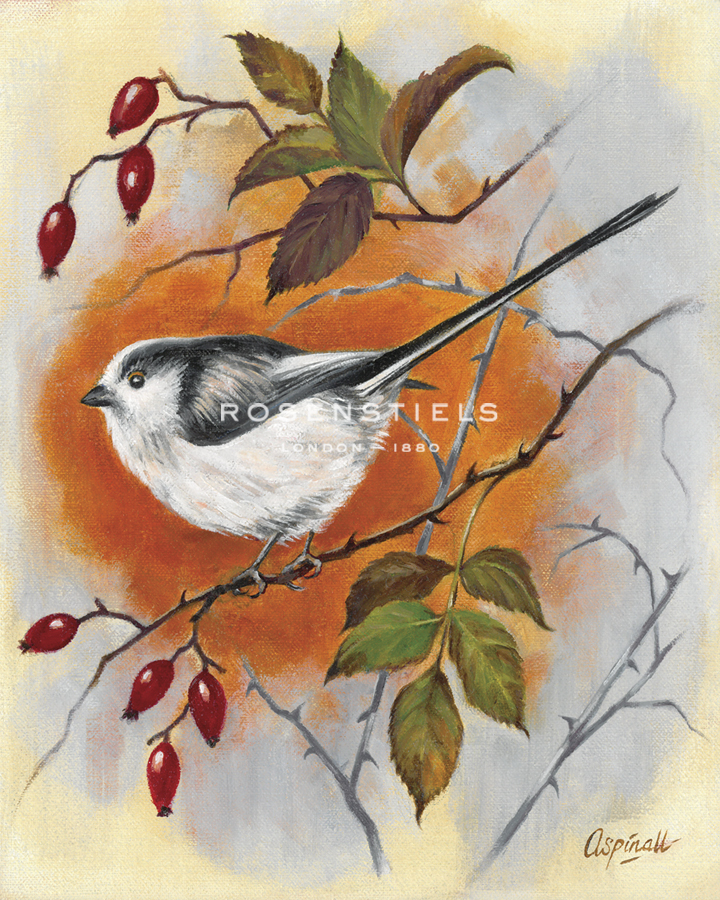 Hedgerow Bird - Long Tailed Tit - Sarah Aspinall