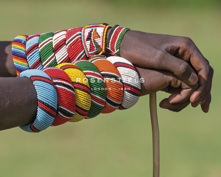 Adorned - Nigel Pavitt