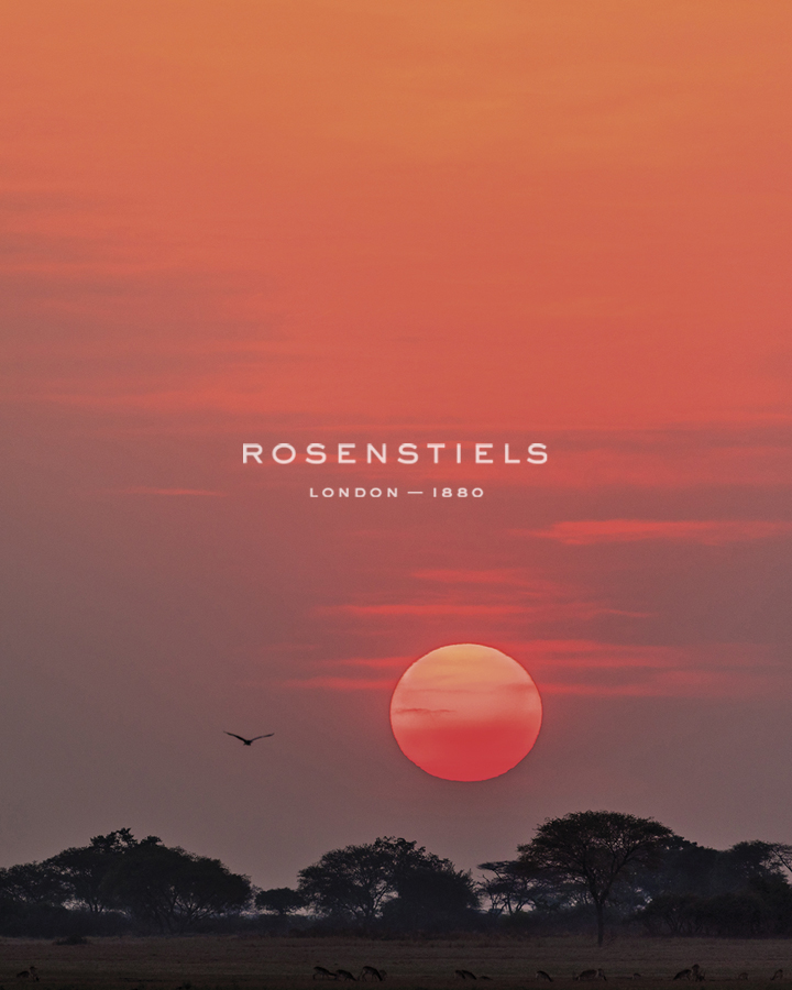 Sunset Flight - Nigel Pavitt