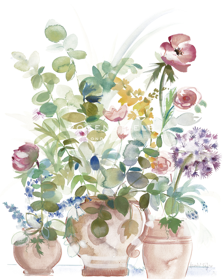 Potted Cheer - Sanctuary - Annabel Fairfax