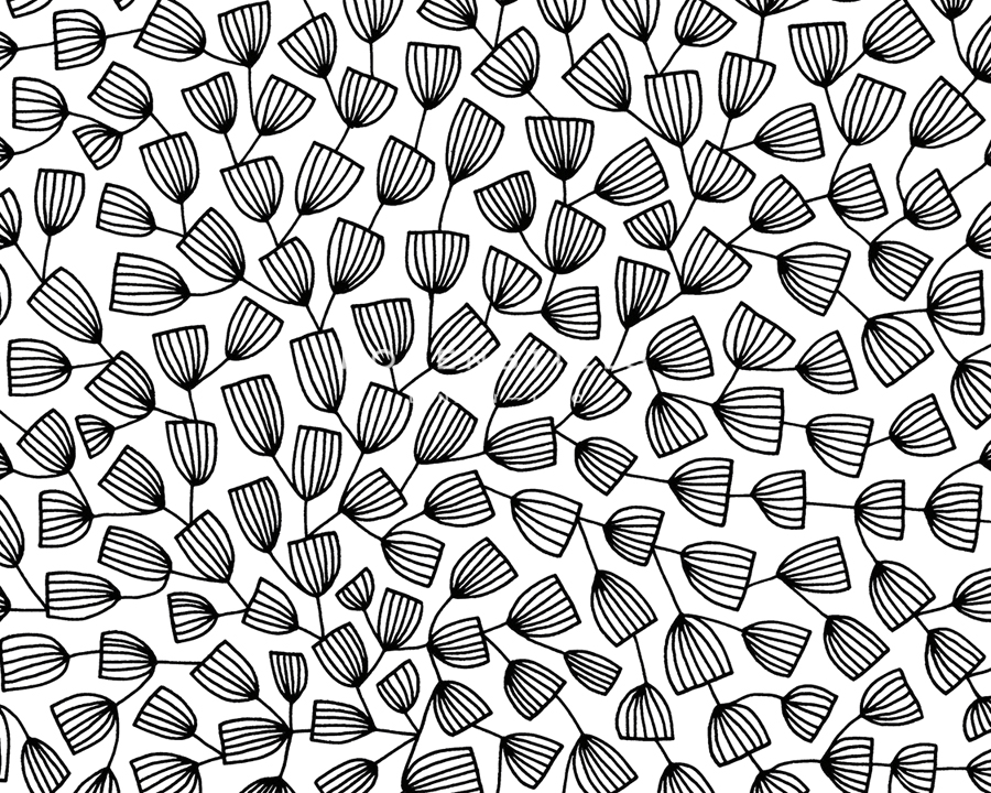 Linear Leaves - Bloom - Virginia Kraljevic