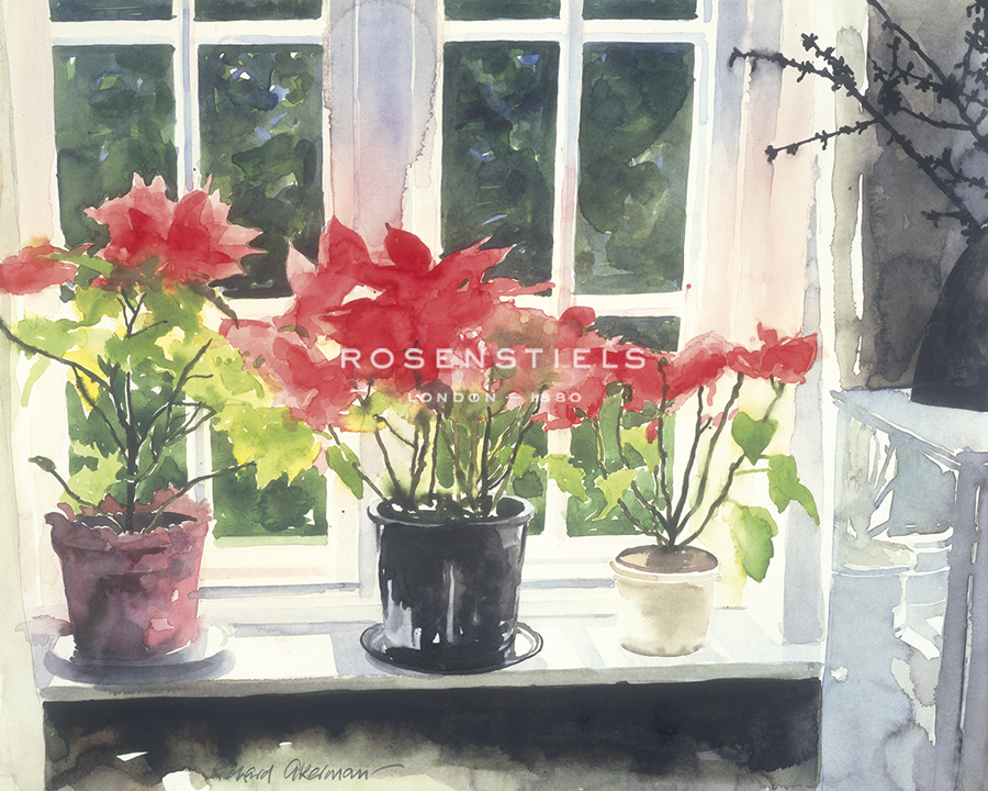 Poinsettias - Richard Akerman