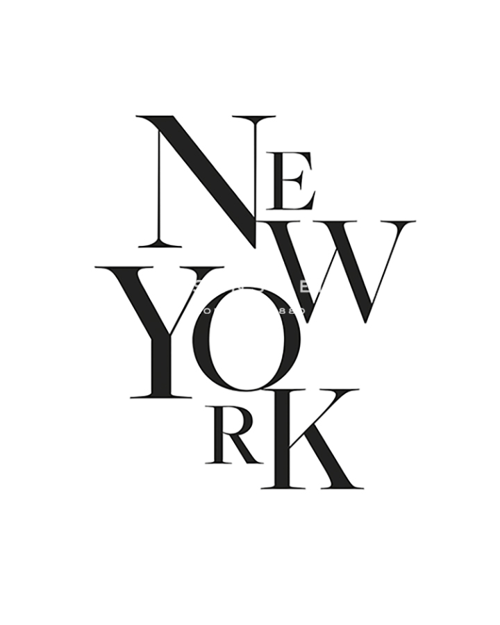 Elegant New York - Joni Whyte