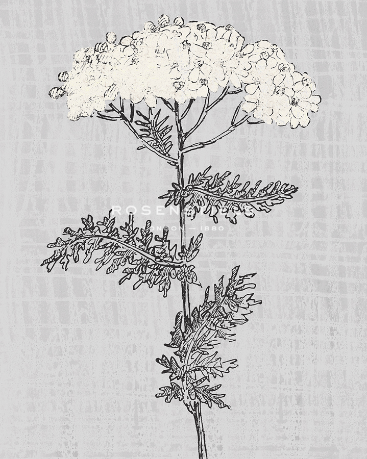Pure Garden - Bloom - Belle Poesia