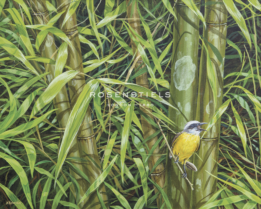 Bird Song - Karen Sylvester