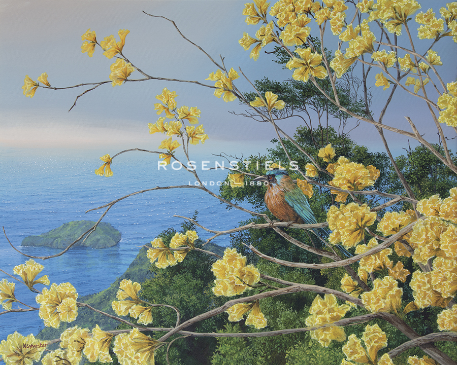 Observation Point - Karen Sylvester
