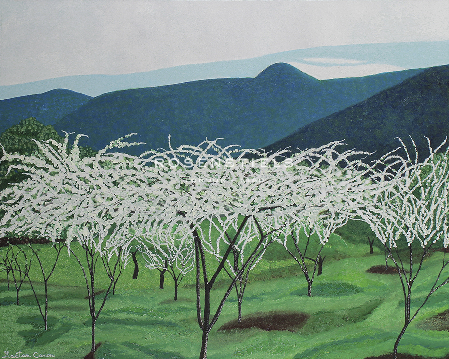 Blossom Mountain - Gaetan Caron